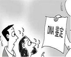 铜仁匿名DNA亲子鉴定需要多少费用，铜仁隐私亲子鉴定办理流程指南